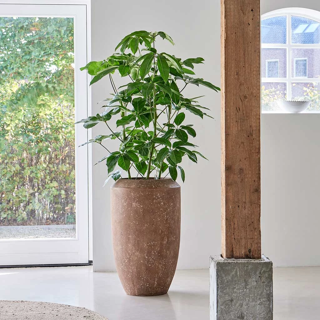 Polystone Coated Plain Coppa Planter - Rock 4 Polystone Coated Plain Coppa Planter - Rock - Image 2