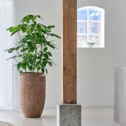 Polystone Coated Plain Coppa Planter - Rock 36 Polystone Coated Plain Coppa Planter - Rock -Indoor Plants Store PolystoneCoatedPlainCoppaPlanter Rock 4