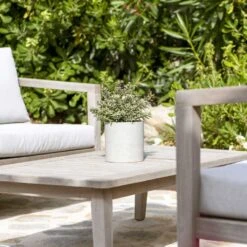 Puk Plant Pot - Grey Washed -Indoor Plants Store Puk Plant Pot Grey Washed Lifestyle