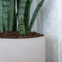 Puk Refined Planter - Natural White -Indoor Plants Store Puk Refined Planter Natural White Lifestyle 003