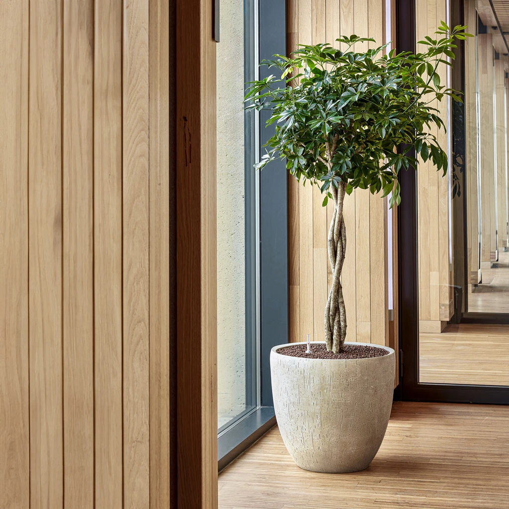 Raindrop Egg Planter - Stone 7 Raindrop Egg Planter - Stone - Image 5