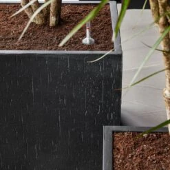 Raindrop Cube Planter - Anthracite 15 Raindrop Cube Planter - Anthracite -Indoor Plants Store Raindrop Cube Anthracite 2