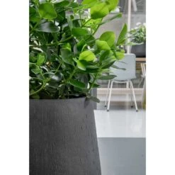 Raindrop Tube Round Planter - Anthracite -Indoor Plants Store Raindrop Planters Anthracite Texture