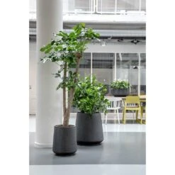 Raindrop Tube High Round Planter - Anthracite -Indoor Plants Store Raindrop Tube High Round Planters Anthracite