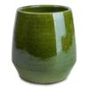 Remi Plant Pot - Green -Indoor Plants Store Remi Plant Pot Green 15x15cm