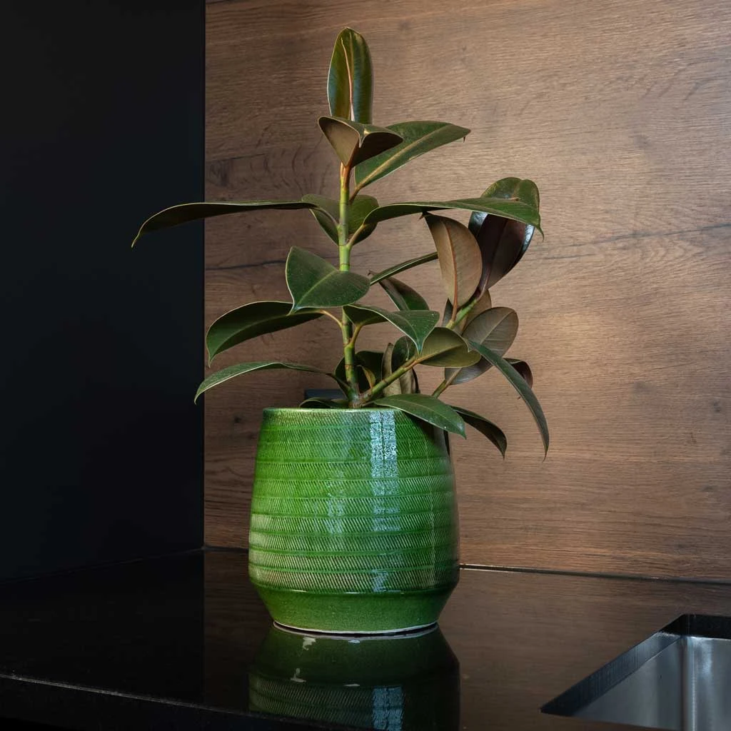 Remi Plant Pot - Green 15 Remi Plant Pot - Green - Image 13