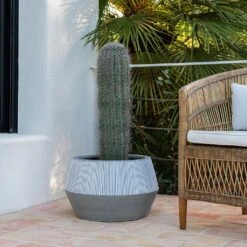 Low Harley Plant Pot - Ridged White Stripe -Indoor Plants Store Ridged Low Harley Plant Pot White Stripe Large Cactus