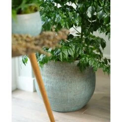 Ryan Plant Pot - Blue Gold -Indoor Plants Store Ryan Plant Pot Blue Gold Houseplants