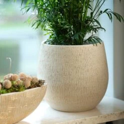 Ryan Plant Pot - Sand Gold -Indoor Plants Store Ryan Plant Pot Sand Gold Parlour Palm