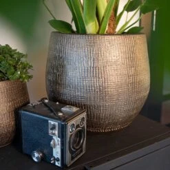 Ryan Plant Pot - Shiny Gold -Indoor Plants Store Ryan Plant Pot Shiny Gold Lifestyle 02