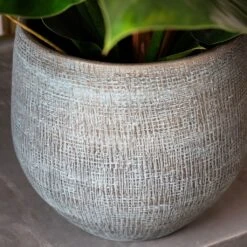 Ryan Plant Pot - Blue Gold -Indoor Plants Store RyanPlantPot BlueGold 1 min