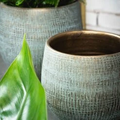 Ryan Plant Pot - Blue Gold -Indoor Plants Store RyanPlantPot BlueGold 3 min