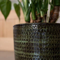 Sanna Plant Pot - Moss Green -Indoor Plants Store Sanna Moss Green 2