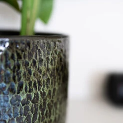 Sanna Plant Pot - Moss Green -Indoor Plants Store Sanna Moss Green 5