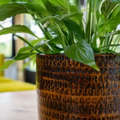 Sanna Plant Pot - Savanna -Indoor Plants Store Sanna Savana 2