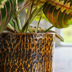 Sanna Plant Pot - Savanna -Indoor Plants Store Sanna Savana 6