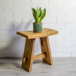 Sansevieria Trifasciata Futura Superba -Indoor Plants Store Sansevieria trifasciata Futura Superba liam turquoise plant pot natural