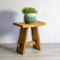 Senecio Himalaya - Himalaya Groundsel -Indoor Plants Store Senecio Himalaya Himalaya Groundsel alice ocean plant pot natural a0e2c2c9 2ffa 4495 a6e2 0a94fbfddd15