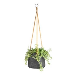 Patt Hanging Plant Pot - Black Washed -Indoor Plants Store Senecio peregrinus String of Dolphins 15x25cm Patt Hanging Plant Pot Black Washed 20x17cm 9dbfe7a9 3c90 4a77 a878 0073280b96dc