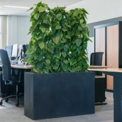 Solid Rectangle Planter - Dark Grey 12 Solid Rectangle Planter - Dark Grey -Indoor Plants Store Solid Rectangle Planter Dark Grey 1