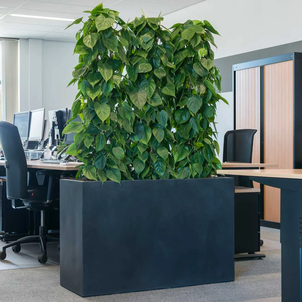 Solid Rectangle Planter - Dark Grey 6 Solid Rectangle Planter - Dark Grey - Image 4