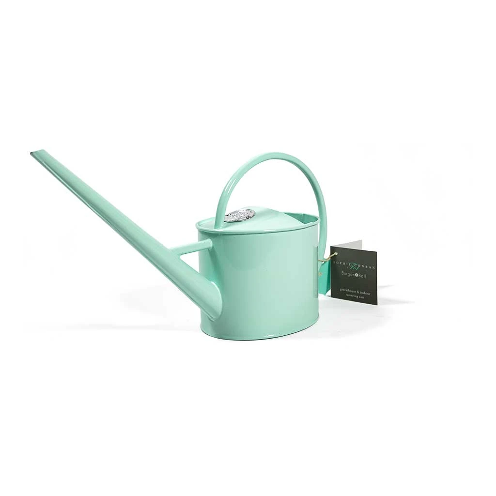 Sophie Conran Indoor Watering Can 1.7L - Duck Egg Blue 5 Sophie Conran Indoor Watering Can 1.7L - Duck Egg Blue - Image 3