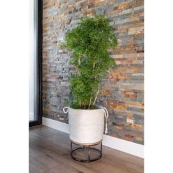 Stefan Plant Baskets - Set Of 3 - Natural 12 Stefan Plant Baskets - Set Of 3 - Natural -Indoor Plants Store Stefan Plant Basket Natural Indoor Tree