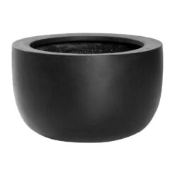 Sunny Natural Bowl Planter - Black -Indoor Plants Store Sunny Natural Planter Black 33x20cm