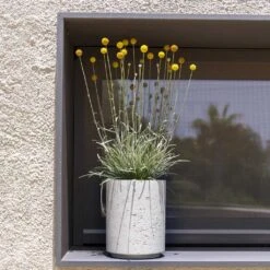 Suzi Plant Pot - Grey Washed 25 Suzi Plant Pot - Grey Washed -Indoor Plants Store Suzi Plant Pot Grey Washed Outdoor Plants