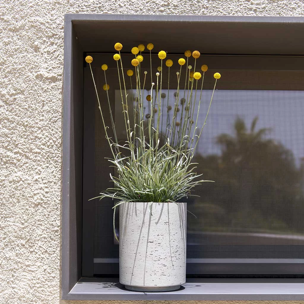 Suzi Plant Pot - Grey Washed 11 Suzi Plant Pot - Grey Washed - Image 9