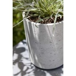 Suzi Plant Pot - Grey Washed 30 Suzi Plant Pot - Grey Washed -Indoor Plants Store Suzi Plant Pots Grey Washed Close Up