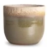 Tarra Plant Pot - Forest -Indoor Plants Store Tarra Plant Pot Forest 17x15cm