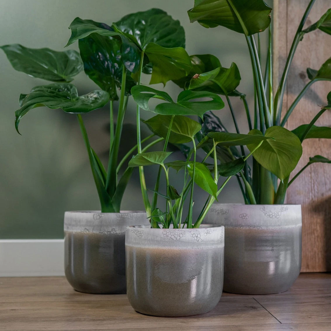 Tarra Plant Pot - Forest 9 Tarra Plant Pot - Forest - Image 7