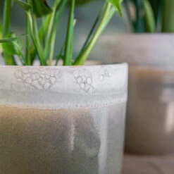 Tarra Plant Pot - Forest 25 Tarra Plant Pot - Forest -Indoor Plants Store Tarra3