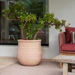 Treasure Nika Planter - Brick Orange -Indoor Plants Store Treasure Nika Planter Brick Orange Lifestyle1