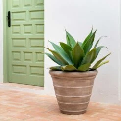 Treasure Selena Planter - Chalk Beige -Indoor Plants Store Treasure Selena Planter Chalk Beige Lifestyle 1