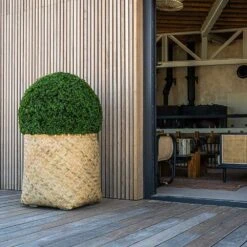 Zayn Bamboo Planter -Indoor Plants Store Zayn Bamboo Planter Box Hedge