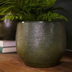 Zembla Plant Pot - Green -Indoor Plants Store Zembla Plant Pot Collection Fern