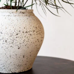 Zeus Mediterranean Planter - Chalk White -Indoor Plants Store Zeus Mediterranean Planter Chalk White Lifestyle