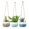 Baby Dotty Hanging Indoor Pot Trio 1 Baby Dotty Hanging Indoor Pot Trio -Indoor Plants Store baby dotty hanging plant pots trio