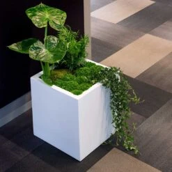Block Essentials Planter - Matt White 15 Block Essentials Planter - Matt White -Indoor Plants Store block planter essential matte white indoor plants cube