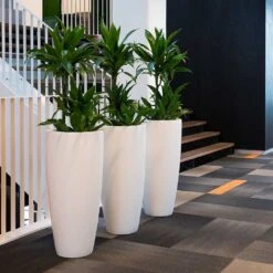 Dax Essentials Tall Planter - Matt White -Indoor Plants Store dax planter essential matte white open plan office
