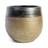 Mya Plant Pot - Deep Champagne -Indoor Plants Store mya deep champagne plant pot 26cm