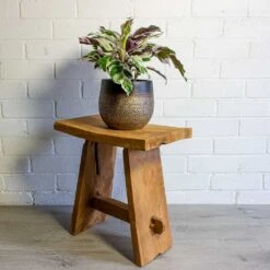 Mya Plant Pot - Deep Champagne 21 Mya Plant Pot - Deep Champagne -Indoor Plants Store mya deep champagne plant pot calathea fusion white