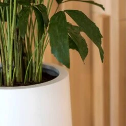 Nax Essentials Tall Planter - Matt White -Indoor Plants Store nax planter essential matte white edge