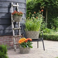 Paula Wikr Plant Baskets - Set Of 4 - Natural 10 Paula Wikr Plant Baskets - Set Of 4 - Natural -Indoor Plants Store paula wicker plant baskets set of 4 natural lifestyle 001