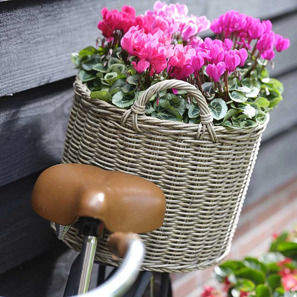 Paula Wikr Plant Baskets - Set Of 4 - Natural 5 Paula Wikr Plant Baskets - Set Of 4 - Natural - Image 3