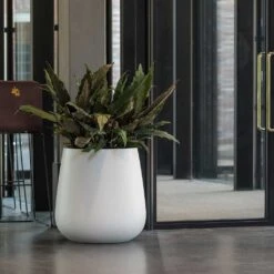 Pax Essentials Planter - Matt White -Indoor Plants Store pax planter essential matte white office plants