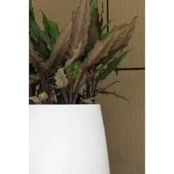 Pax Essentials Planter - Matt White -Indoor Plants Store pax planters essential matte white clos up