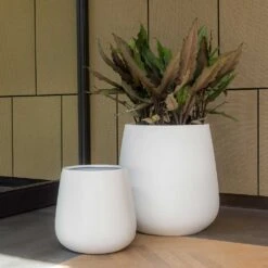 Pax Essentials Planter - Matt White -Indoor Plants Store pax planters essential matte white office plants